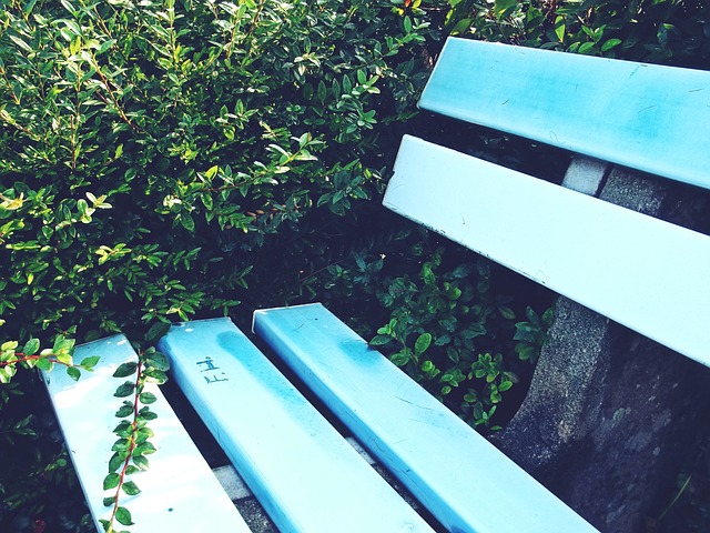 曼联备战西汉姆联：库尼亚复出，年轻球员获信任